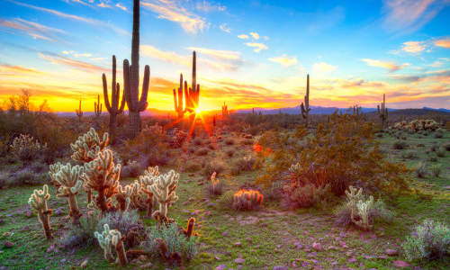 Photo of Tubac, AZ