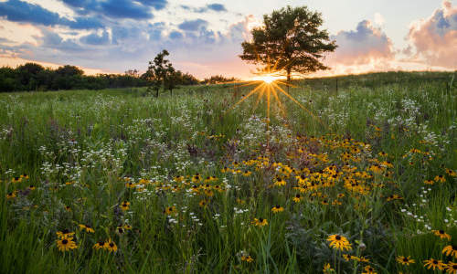 Photo of Elgin, IL