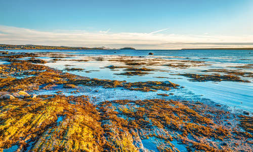 Photo of Rimouski, QC